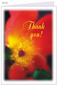 "Thank You!" greeting card with envelope $.69 each
