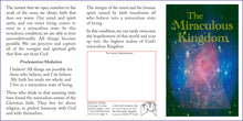 Load image into Gallery viewer, The Miraculous Kingdom Gospel tract