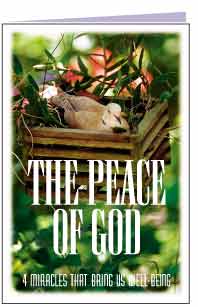 The Peace of God gospel tracts in Hindi $.07 c/u