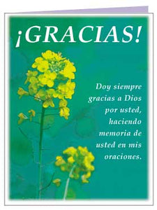 "Gracias!" Spanish greeting card  $.69 cu