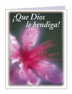 "Que Dios le bendiga!"  tarjetas postales con sobres $.69 cu