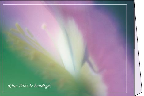 Tarjeta postal 